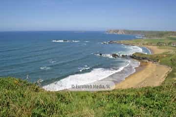 Playa Carniciega