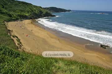 Playa Carniciega