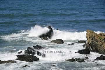 Playa Carniciega