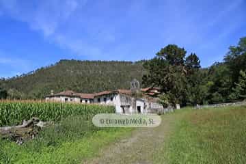 Iglesia del monasterio de San Antolín de Bedón
