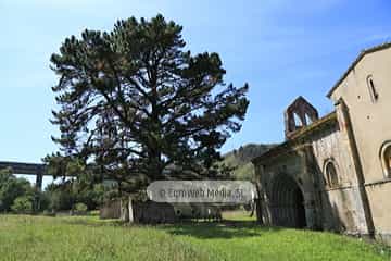 Iglesia del monasterio de San Antolín de Bedón