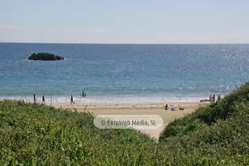 Playa de Niembro