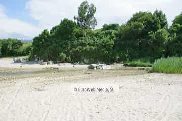 Playa de La Huelga