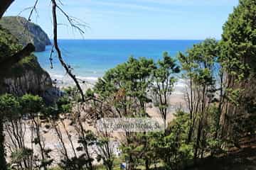 Playa de Vidiago