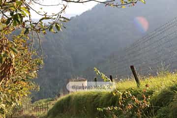 Palomar de Baíña