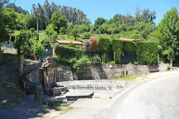 Fuente de Manzaneda