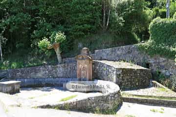 Fuente de Manzaneda