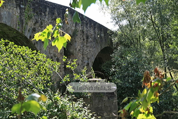 Puente de Colloto