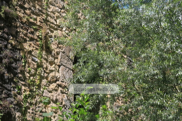 Puente de Colloto