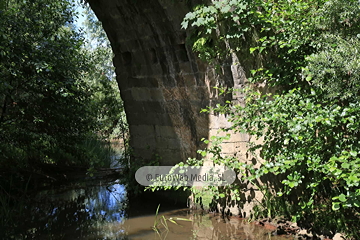 Puente de Colloto
