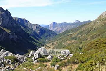 PR AS-15. Ruta los Lagos de Saliencia