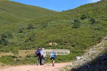 PR AS-15. Ruta los Lagos de Saliencia