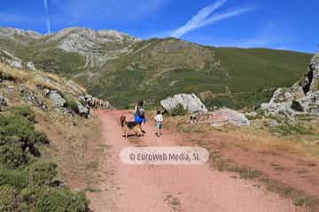 PR AS-15. Ruta los Lagos de Saliencia