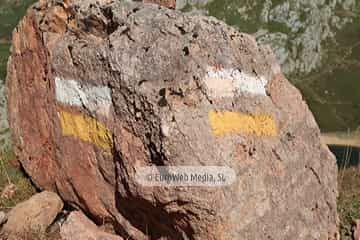 PR AS-15. Ruta los Lagos de Saliencia