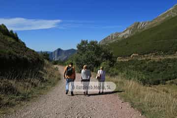 PR AS-15. Ruta los Lagos de Saliencia