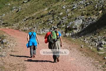 PR AS-15. Ruta los Lagos de Saliencia