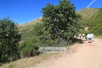 PR AS-15. Ruta los Lagos de Saliencia