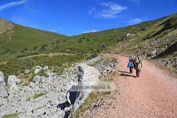 PR AS-15. Ruta los Lagos de Saliencia