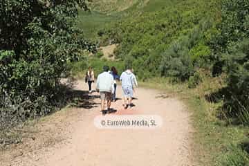 PR AS-15. Ruta los Lagos de Saliencia