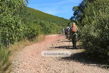 PR AS-15. Ruta los Lagos de Saliencia