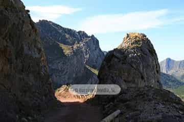 PR AS-15. Ruta los Lagos de Saliencia