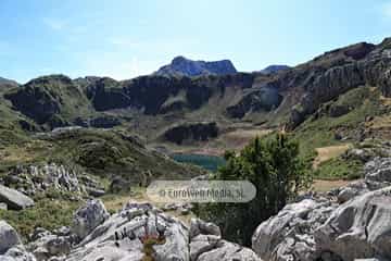 PR AS-15. Ruta los Lagos de Saliencia