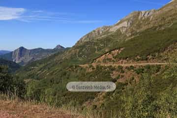 PR AS-15. Ruta los Lagos de Saliencia