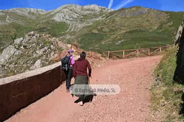 PR AS-15. Ruta los Lagos de Saliencia