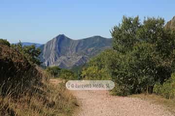 PR AS-15. Ruta los Lagos de Saliencia