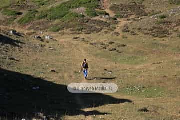 PR AS-15. Ruta los Lagos de Saliencia