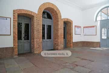 Colegio público Dolores Medio