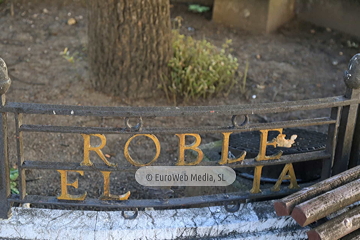 Escultura «El Carbayón»
