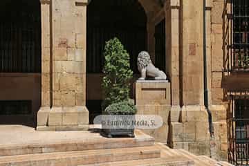 Escultura «León»