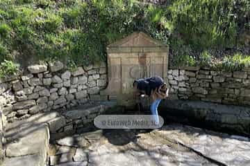 Fuente de Pando