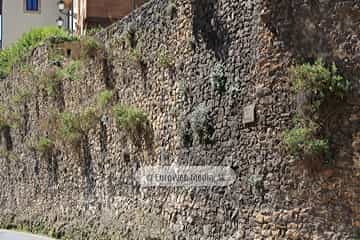 Restos de la muralla medieval