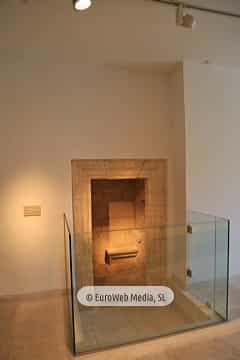 Museo Arqueológico del Principado de Asturias