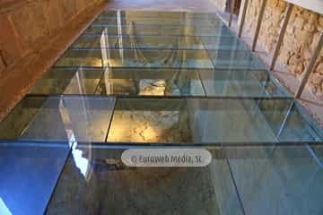 Museo Arqueológico del Principado de Asturias