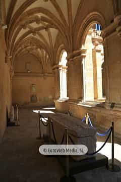 Museo Arqueológico del Principado de Asturias