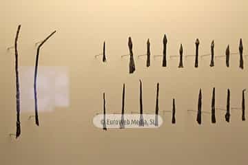 Museo Arqueológico del Principado de Asturias