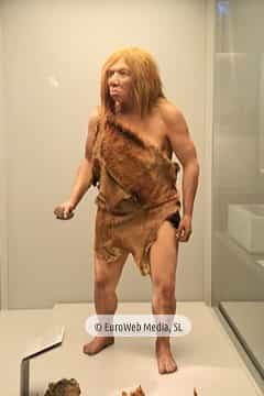 Museo Arqueológico del Principado de Asturias