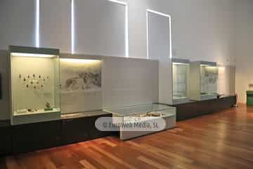 Museo Arqueológico del Principado de Asturias