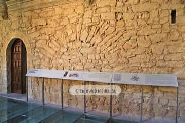 Museo Arqueológico del Principado de Asturias