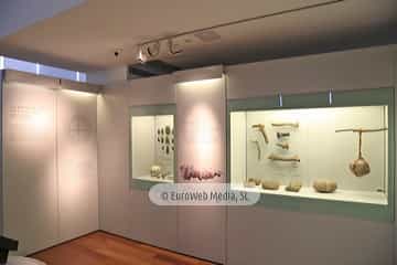 Museo Arqueológico del Principado de Asturias
