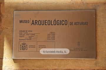 Museo Arqueológico del Principado de Asturias