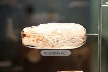 Museo Arqueológico del Principado de Asturias