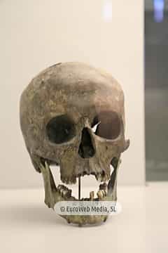 Museo Arqueológico del Principado de Asturias