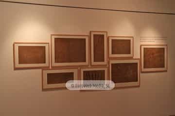 Museo Arqueológico del Principado de Asturias