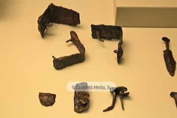 Museo Arqueológico del Principado de Asturias