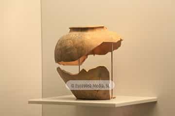 Museo Arqueológico del Principado de Asturias