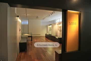 Museo Arqueológico del Principado de Asturias